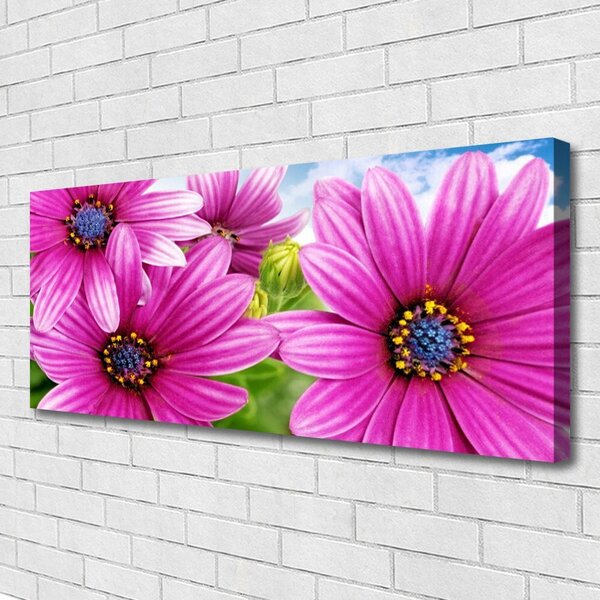 Tablou pe panza canvas Flori Floral Roz Galben Albastru