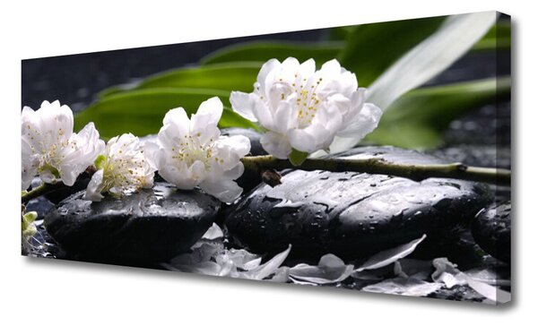 Tablou pe panza canvas Pietre florale flori alb negru
