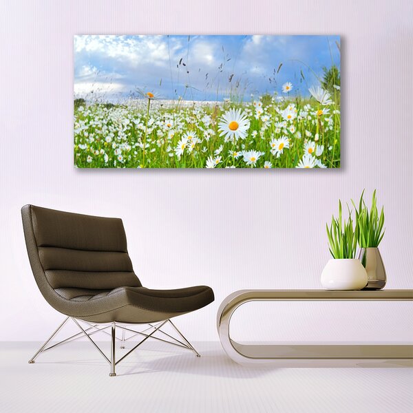 Tablou pe panza canvas Meadow Natura Alb Galben Margarete Verde Albastru