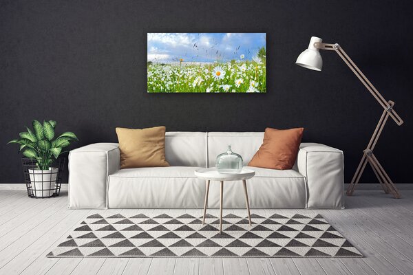 Tablou pe panza canvas Meadow Natura Alb Galben Margarete Verde Albastru