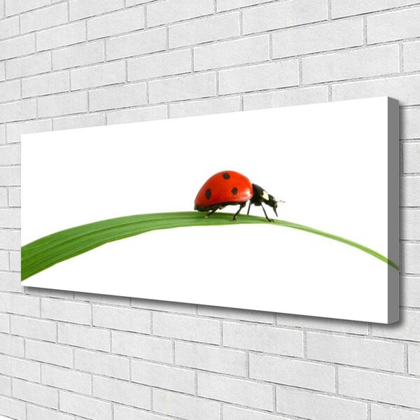 Tablou pe panza canvas Gărgăriță Floral Negru Rosu Verde