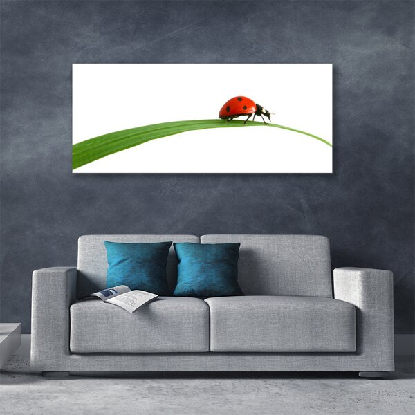 Tablou pe panza canvas Gărgăriță Floral Negru Rosu Verde