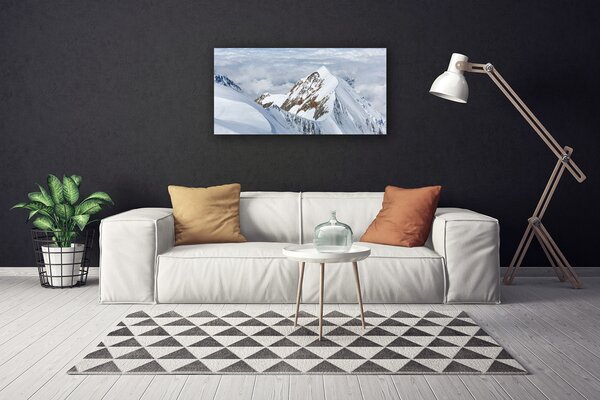 Tablou pe panza canvas Munții Peisaj Gri Alb