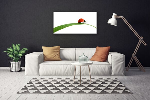 Tablou pe panza canvas Gărgăriță Floral Negru Rosu Verde