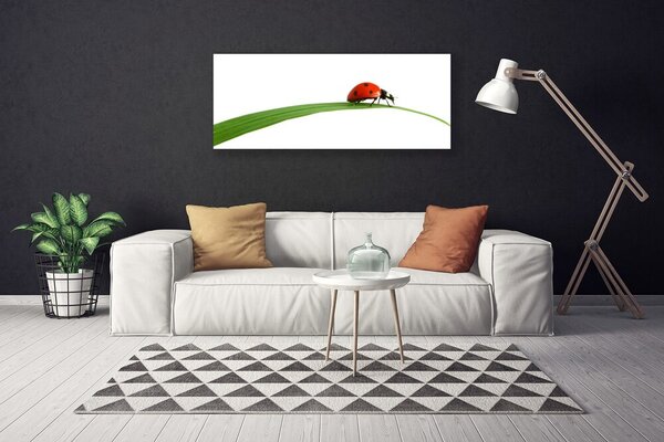 Tablou pe panza canvas Gărgăriță Floral Negru Rosu Verde