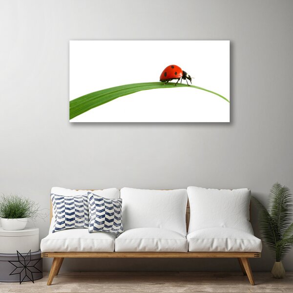 Tablou pe panza canvas Gărgăriță Floral Negru Rosu Verde