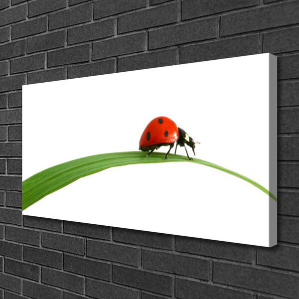 Tablou pe panza canvas Gărgăriță Floral Negru Rosu Verde