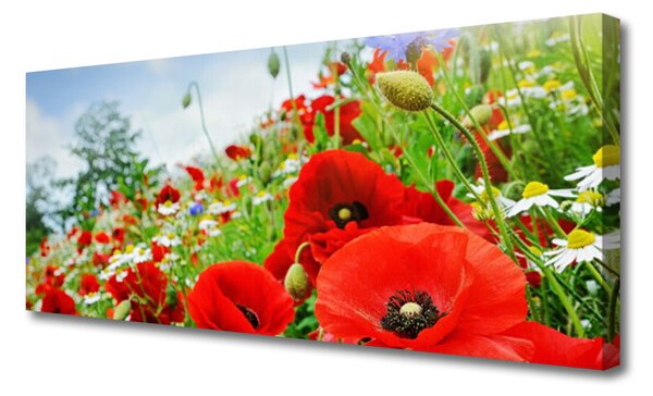 Tablou pe panza canvas Flori Natura Roșu Verde