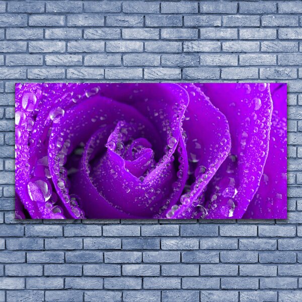 Tablou pe panza canvas Rose Floral violet