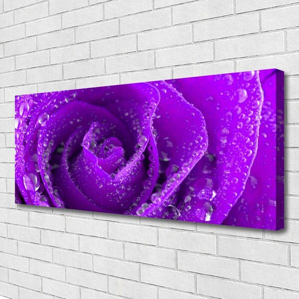 Tablou pe panza canvas Rose Floral violet