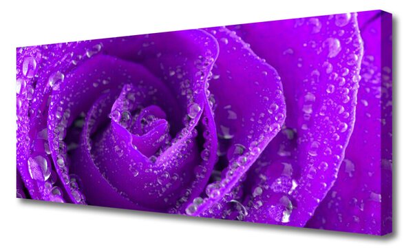 Tablou pe panza canvas Rose Floral violet
