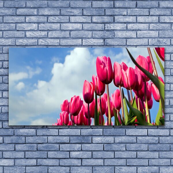 Tablou pe sticla Tulip Floral Roz Verde