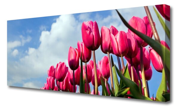 Tablou pe panza canvas Tulip Floral Roz Verde