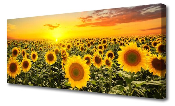 Tablou pe panza canvas Floarea soarelui Floral Galben Verde