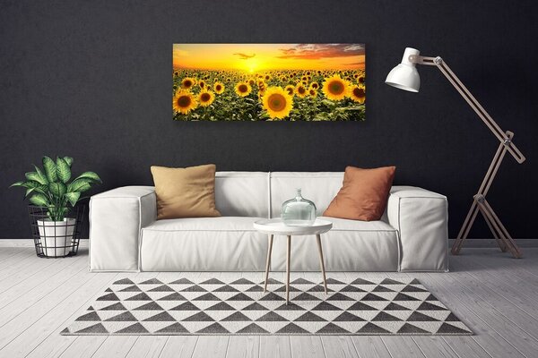Tablou pe panza canvas Floarea soarelui Floral Galben Verde