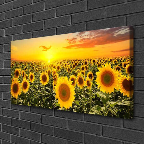 Tablou pe panza canvas Floarea soarelui Floral Galben Verde