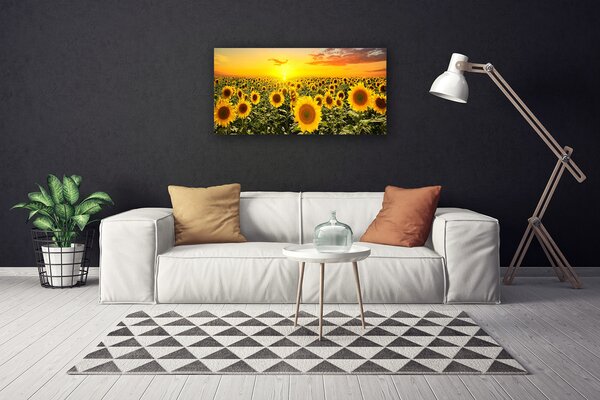 Tablou pe panza canvas Floarea soarelui Floral Galben Verde