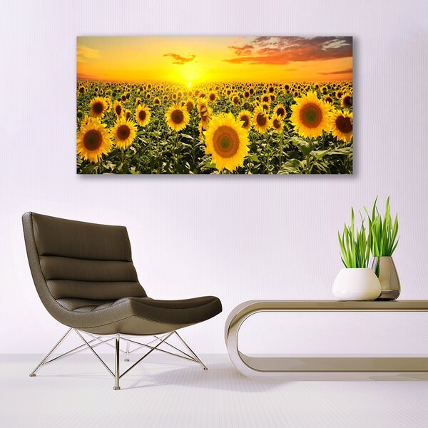 Tablou pe panza canvas Floarea soarelui Floral Galben Verde