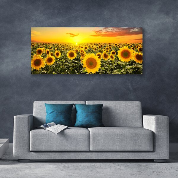 Tablou pe panza canvas Floarea soarelui Floral Galben Verde