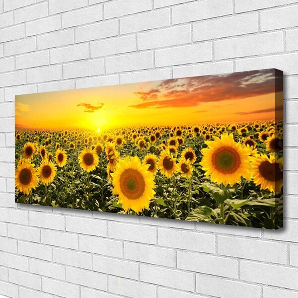 Tablou pe panza canvas Floarea soarelui Floral Galben Verde