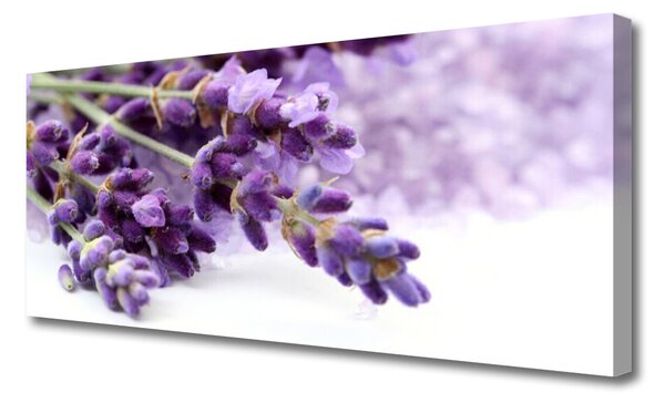 Tablou pe panza canvas Flori Floral violet