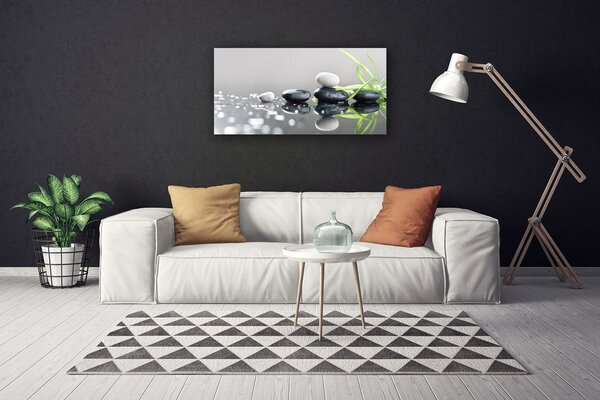 Tablou pe panza canvas Pietrele Iarbă Arta Negru Alb Gri Verde