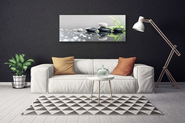 Tablou pe panza canvas Pietrele Iarbă Arta Negru Alb Gri Verde