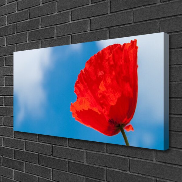 Tablou pe panza canvas Tulip Floral Roșu Albastru