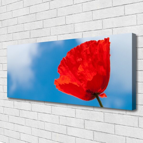 Tablou pe panza canvas Tulip Floral Roșu Albastru