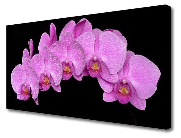 Tablou pe panza canvas Flori Floral roz negru
