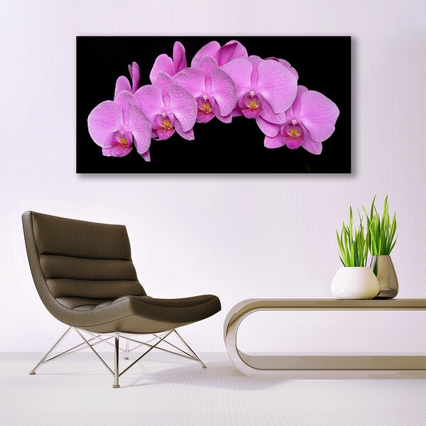 Tablou pe sticla Flori Floral roz negru