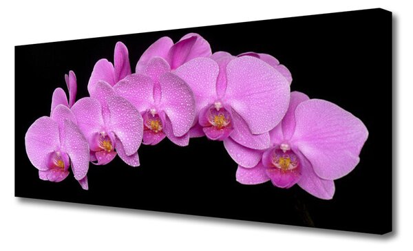 Tablou pe panza canvas Flori Floral roz negru