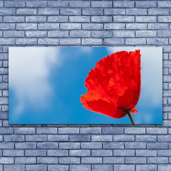 Tablou pe panza canvas Tulip Floral Roșu Albastru