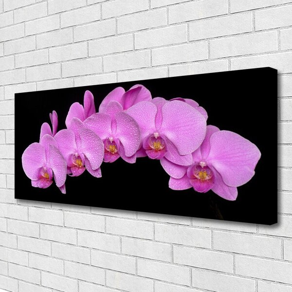 Tablou pe panza canvas Flori Floral roz negru