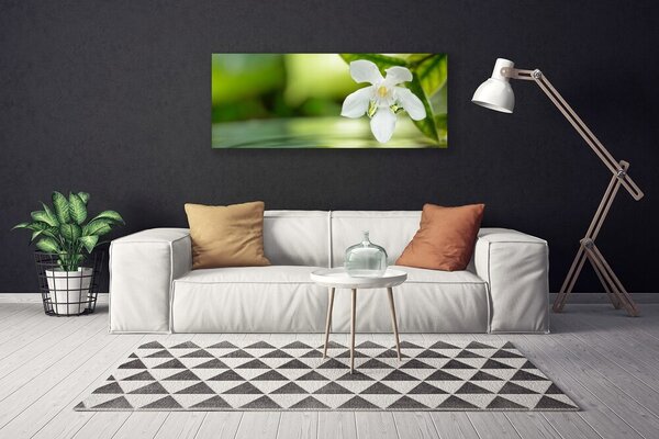 Tablou pe panza canvas Frunze de flori Floral Alb Verde