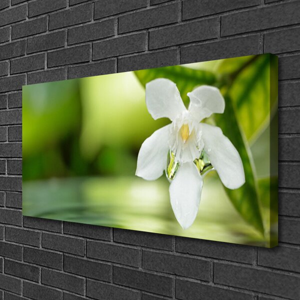 Tablou pe panza canvas Frunze de flori Floral Alb Verde