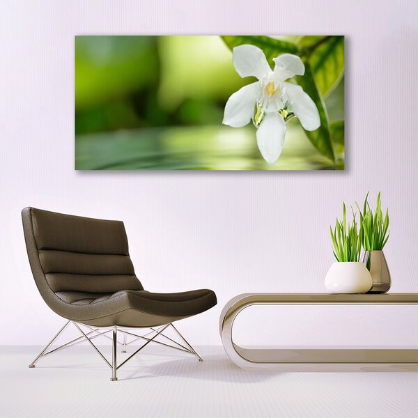 Tablou pe sticla Frunze de flori Floral Alb Verde