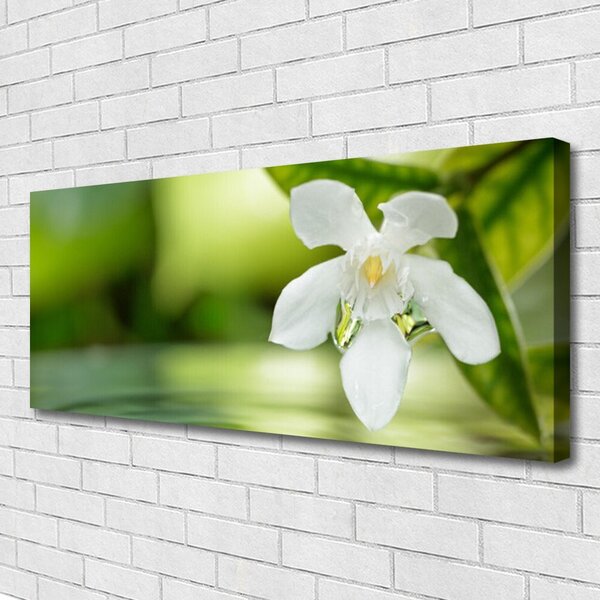 Tablou pe panza canvas Frunze de flori Floral Alb Verde