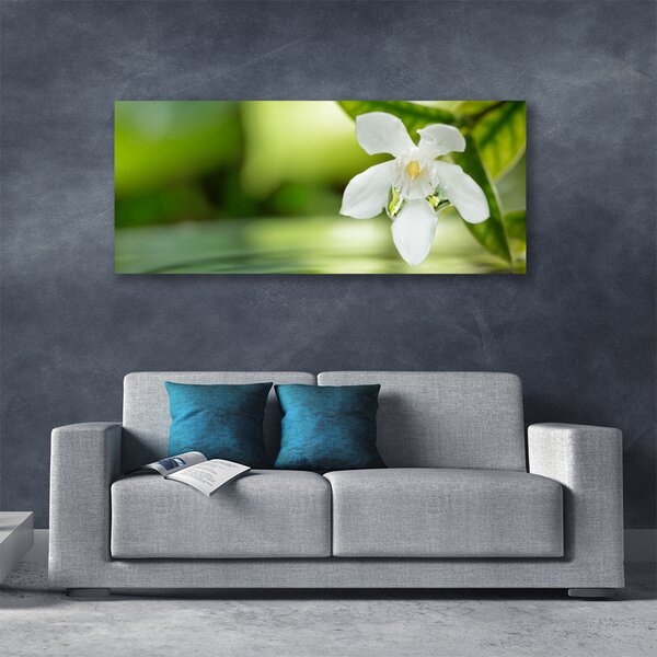 Tablou pe panza canvas Frunze de flori Floral Alb Verde