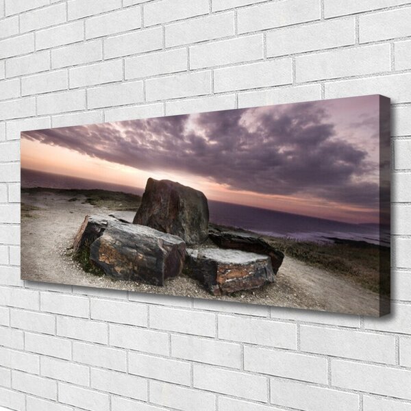 Tablou pe panza canvas Rock Peisaj Gri Roz