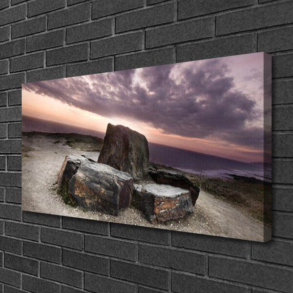 Tablou pe panza canvas Rock Peisaj Gri Roz
