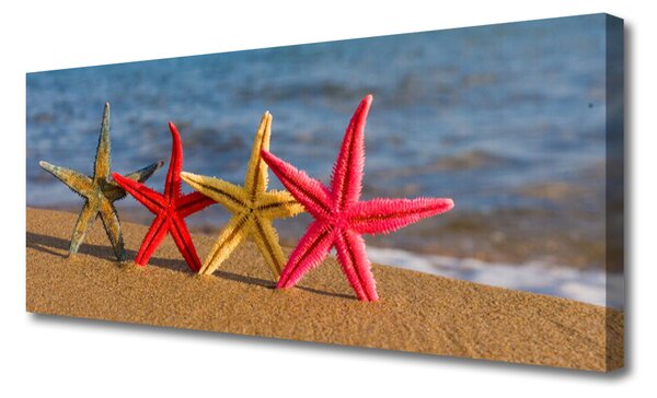 Tablou pe panza canvas Plaja Starfish Art Multi