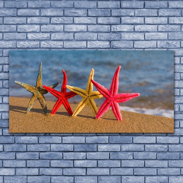 Tablou pe panza canvas Plaja Starfish Art Multi