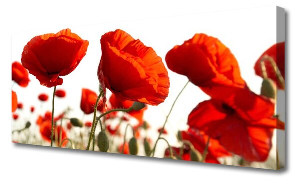 Tablou pe panza canvas Lalele Floral Red White
