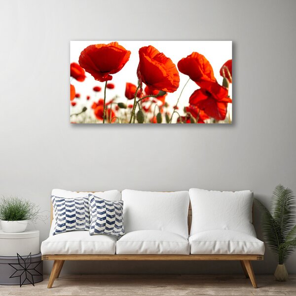 Tablou pe panza canvas Lalele Floral Red White