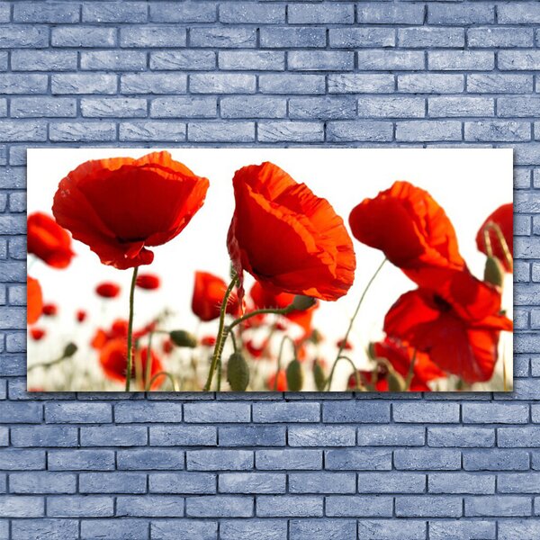Tablou pe panza canvas Lalele Floral Red White