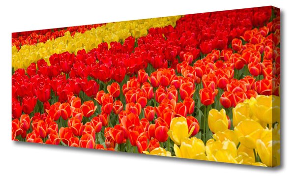Tablou pe panza canvas Lalele Floral Roșu Galben