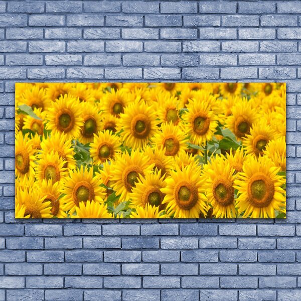 Tablou pe panza canvas Floarea soarelui Floral Galben Maro Verde