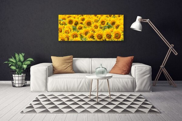 Tablou pe panza canvas Floarea soarelui Floral Galben Maro Verde