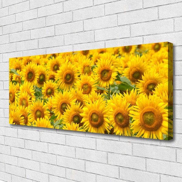 Tablou pe panza canvas Floarea soarelui Floral Galben Maro Verde